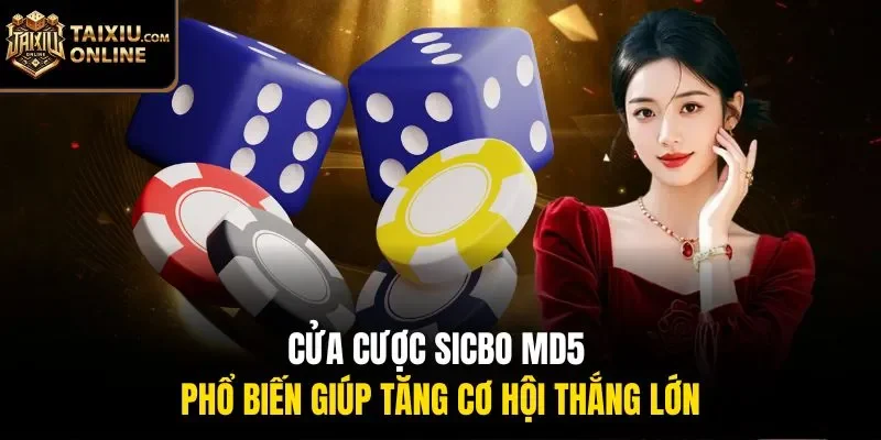 Cửa cược sicbo MD5 phổ biến gi&uacute;p tăng cơ hội thắng lớn